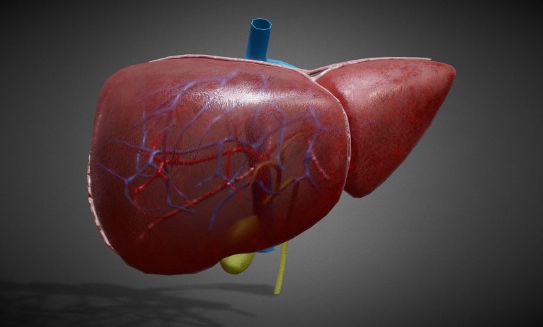 Qaraciyər yağlanması mualicesi